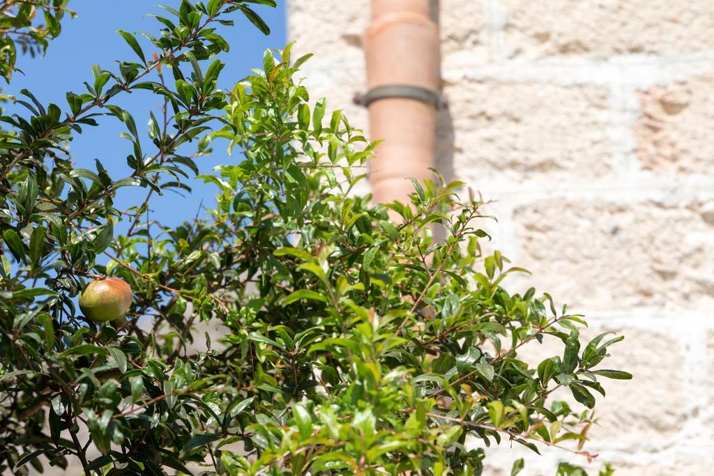 Aparthotel Il Borgo Del Principino Favignana Esterno foto